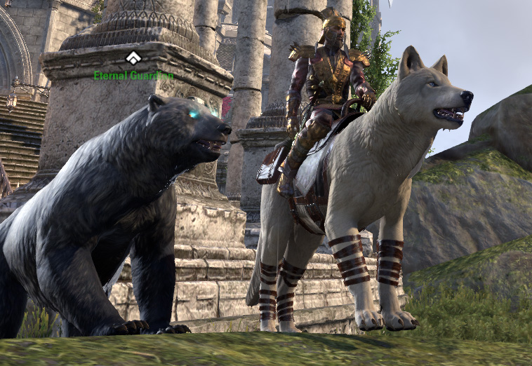 Elder Scrolls Online Ice Wolf 